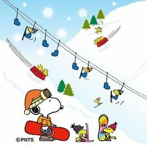 Meet your Posher, Lynnae